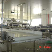 Automatic Fruit and Vegetable Production Line